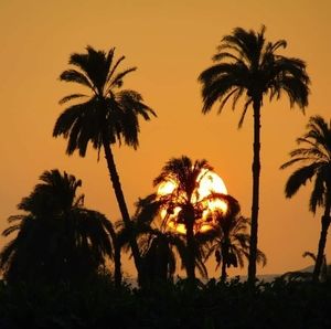 Meet your Posher, Ashraf